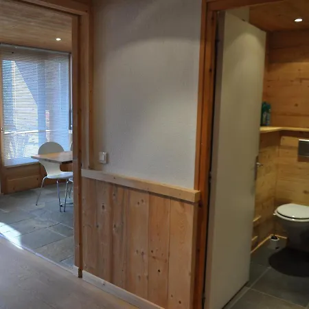 Avec Balcon A Chatel, Proche Centre Et Remontees - Fr-1-693-79